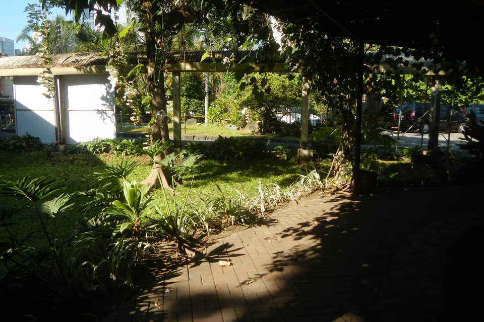 Jardín con árboles