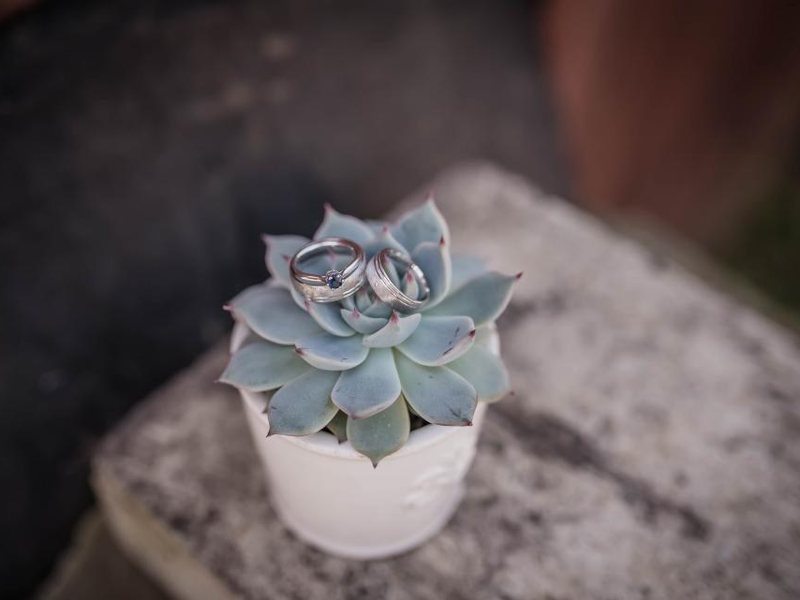 Argollas sobre una maceta